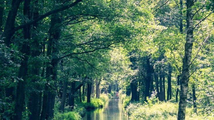 ۴. اشپروِوالد (Spreewald) با لوبنائو (Lübbenau) و لِهده (Lehde)