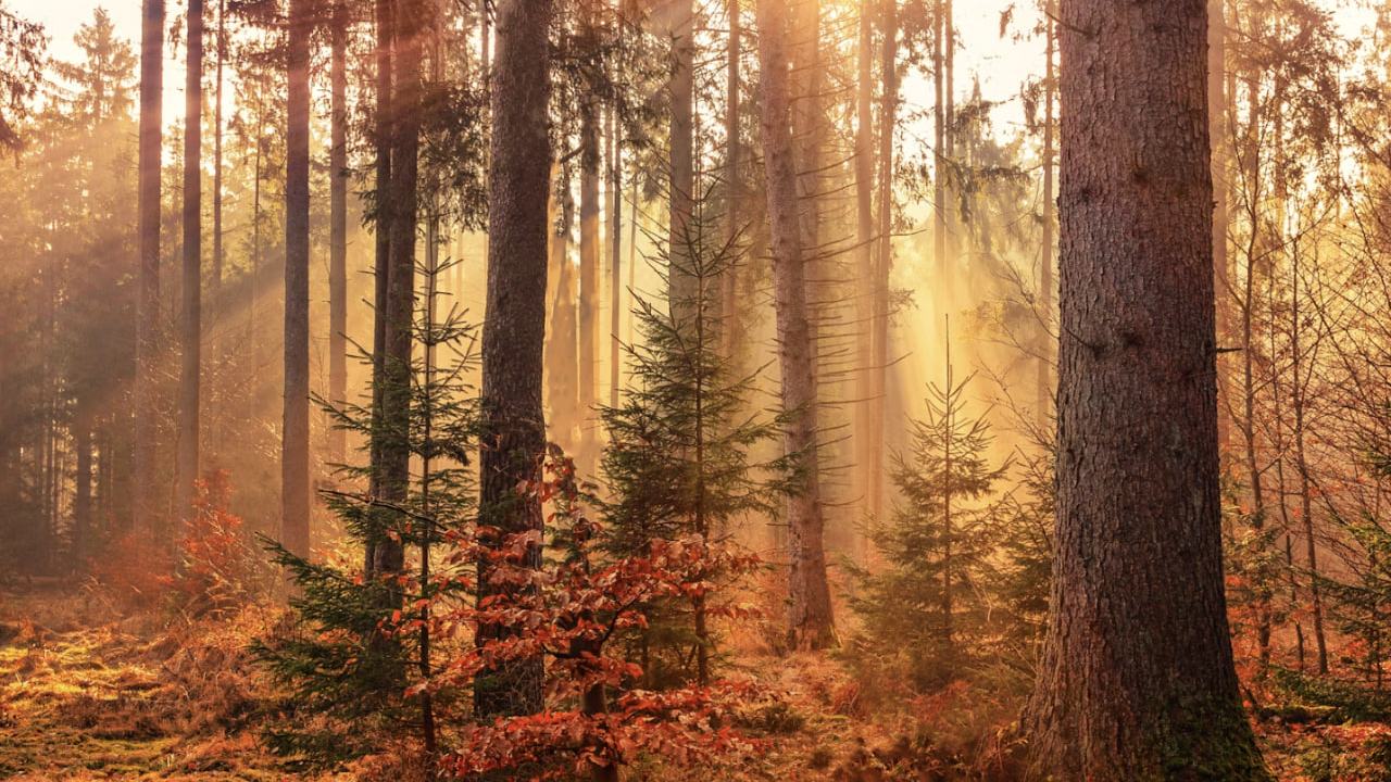 ۱۰ مورد از زیباترین جاهای دیدنی آلمان در پاییز ۲۰۲۶